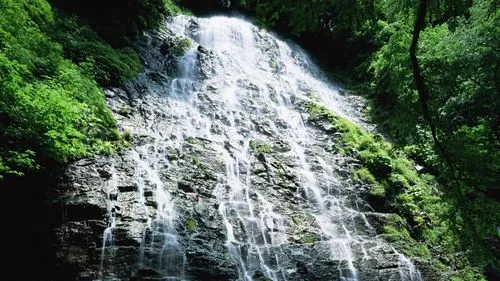 高标准信息化